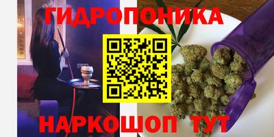 гашик Гусь-Хрустальный