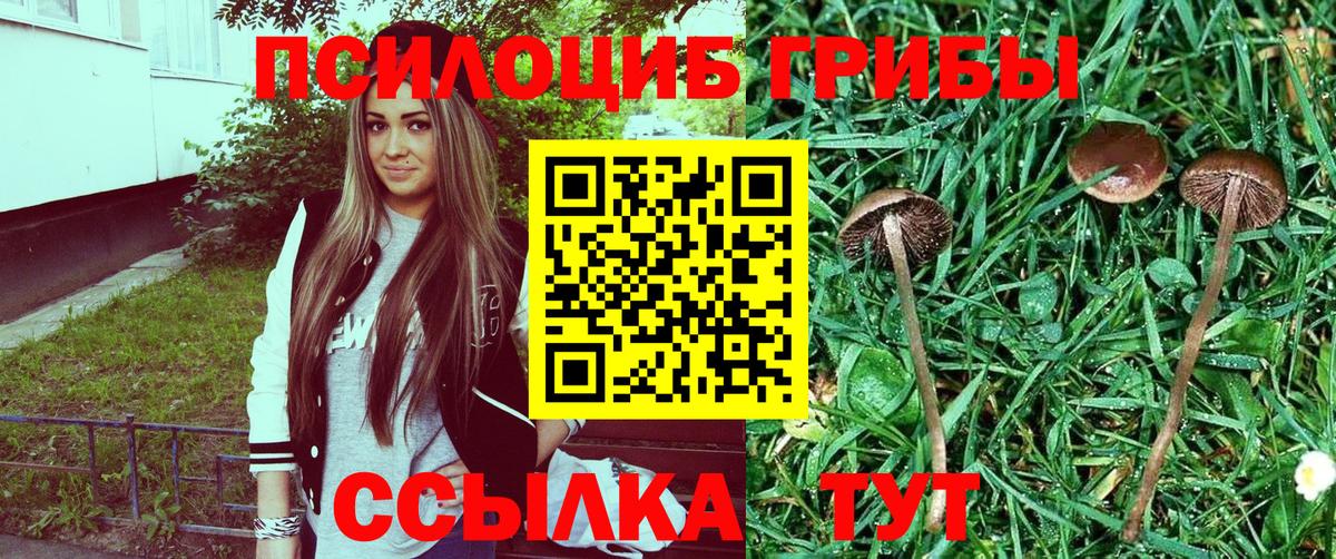 Галлюциногенные грибы ЛСД Новосибирск