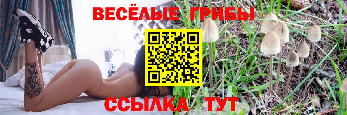 Псилоцибиновые грибы мицелий  Вход с VPN  Новосибирск 